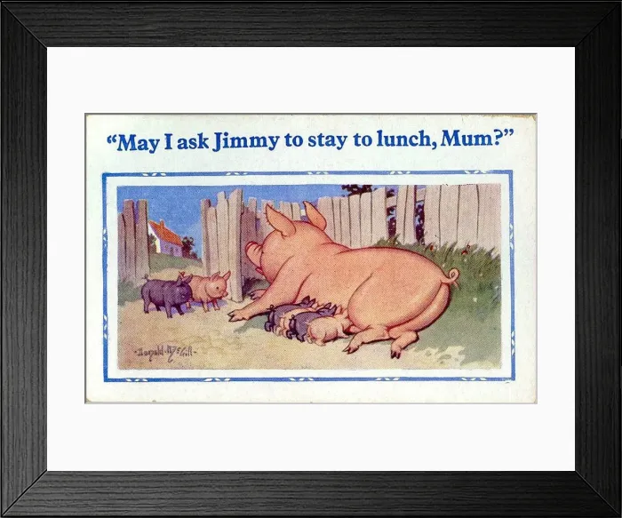 Framed Print : Comic postcard, Piglets at lunchtime Date: 20th century Framed Print : Comic postcard, Piglets at lunchtime Date: 20th century