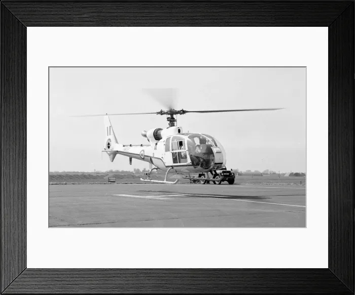 Framed Print : Westland-Aerospatiale SA. 341E Gazelle HCC. 4 XW855 Framed Print : Westland-Aerospatiale SA. 341E Gazelle HCC. 4 XW855