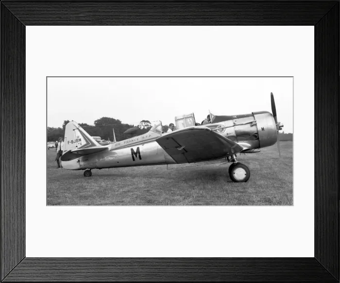 Framed Print : North American AT-6D Texan F-BJBM Framed Print : North American AT-6D Texan F-BJBM