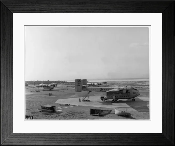 Framed Print : Blackburn Beverley C. 1 XB268 D, XB286s and P Framed Print : Blackburn Beverley C. 1 XB268 D, XB286s and P