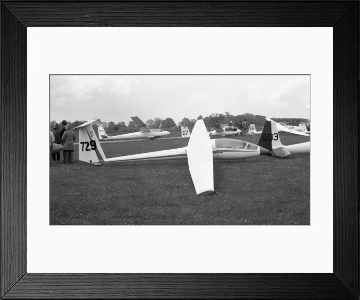 Framed Print : ICA-Brasov IS-29D-2 729 Framed Print : ICA-Brasov IS-29D-2 729