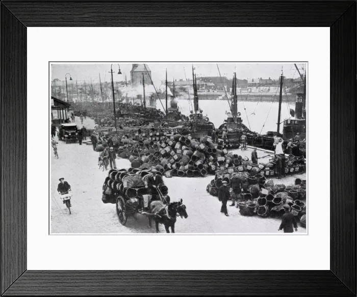 Framed Print : Herring Harvest in Great Yarmouth 1934 Framed Print : Herring Harvest in Great Yarmouth 1934