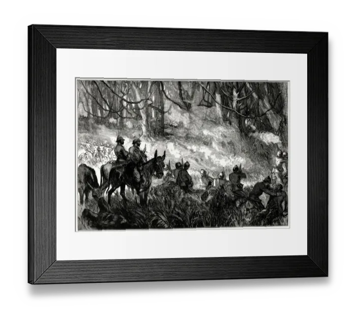 Framed Print : A Skirmish in the Forest, Third Anglo-Ashanti War or First Ashanti Expedition (1873-1874 Framed Print : A Skirmish in the Forest, Third Anglo-Ashanti War or First Ashanti Expedition (1873-1874