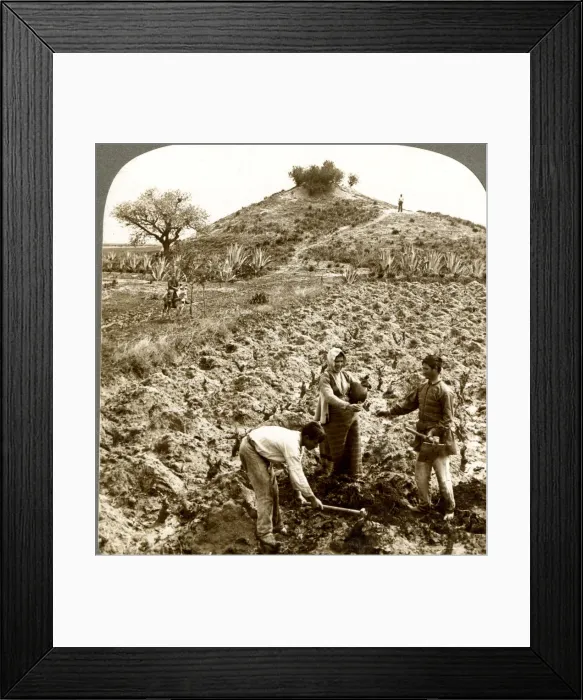 Framed Print : Graves of Greek heroes who defeated Persians at Marathon Framed Print : Graves of Greek heroes who defeated Persians at Marathon