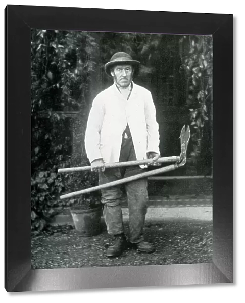 Old Tom, gardener and farm labourer, in later years