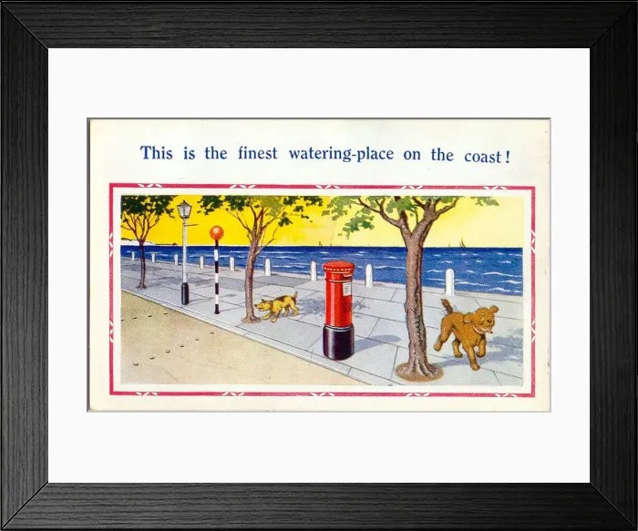 Framed Print : Comic postcard, Dogs at the seaside Date: 20th century Framed Print : Comic postcard, Dogs at the seaside Date: 20th century