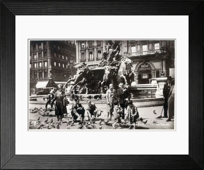 Framed Print : Pigeons on the Place des Terreaux, Lyon, France Framed Print : Pigeons on the Place des Terreaux, Lyon, France
