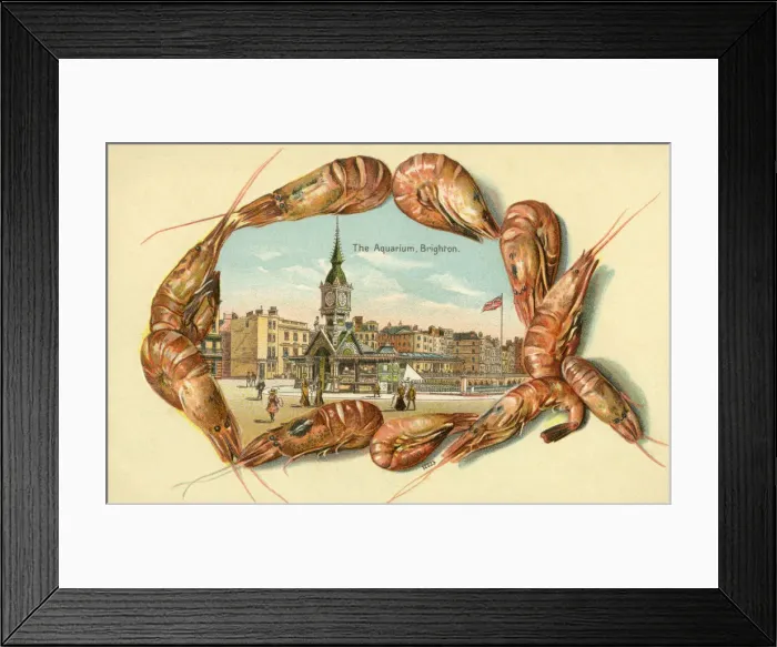 Framed Print : The Aquarium, Brighton, East Sussex Framed Print : The Aquarium, Brighton, East Sussex