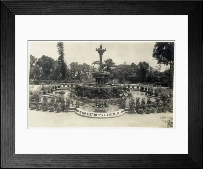 Framed Print : Botanic Garden - Hong Kong Framed Print : Botanic Garden - Hong Kong