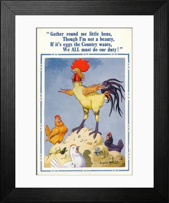 Framed Print : Comic postcard, Cockerel and hens, egg production, WW2 Date: 1940s Framed Print : Comic postcard, Cockerel and hens, egg production, WW2 Date: 1940s