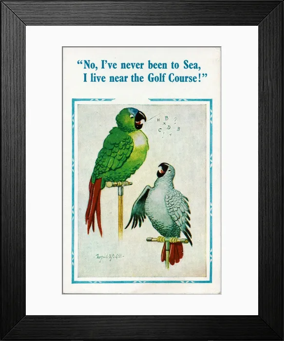 Framed Print : Comic postcard, Two parrots chatting Date: 20th century Framed Print : Comic postcard, Two parrots chatting Date: 20th century