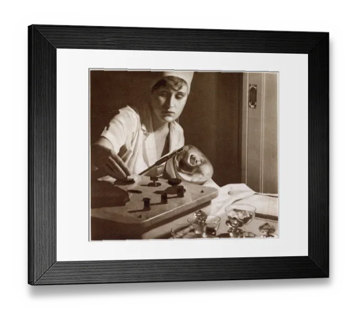 Framed Print : Apparatus that Assist the Remedies of Nature 1933 Framed Print : Apparatus that Assist the Remedies of Nature 1933