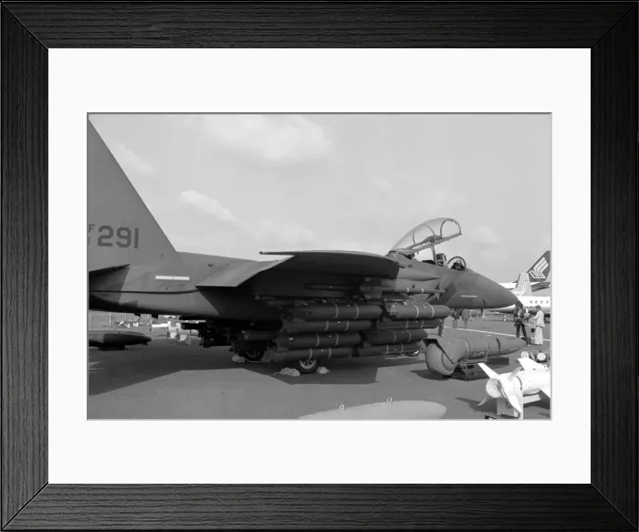Framed Print : McDonnell Douglas F-15E Strike Eagle 71-0291 Framed Print : McDonnell Douglas F-15E Strike Eagle 71-0291
