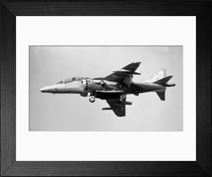 Framed Print : British Aerospace-Boeing Harrier T. 12 ZH661 Framed Print : British Aerospace-Boeing Harrier T. 12 ZH661