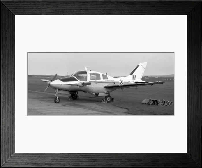 Framed Print : Beagle Bassett CC. 1 XS772 Framed Print : Beagle Bassett CC. 1 XS772
