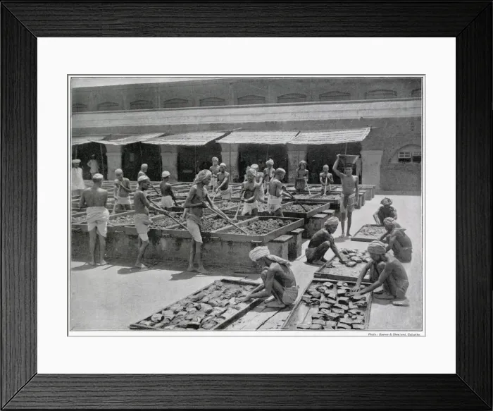 Framed Print : Manufacture of Opium in India Framed Print : Manufacture of Opium in India