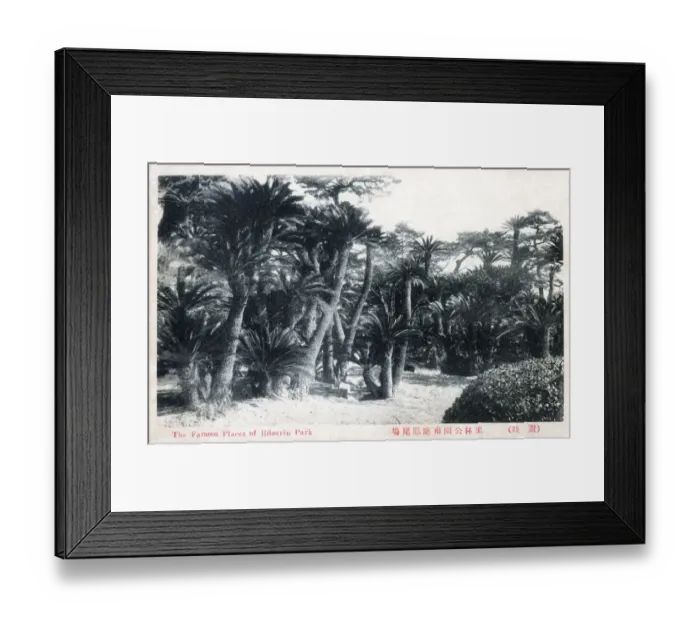 Framed Print : Ritsurin Garden in Takamatsu, Japan. Completed in 1745 as a private strolling garden and villa for the local feudal lords, and opened to the public in 1875. A major tourist attraction for Kagawa Prefecture. Date: 1928 Framed Print : Ritsurin Garden in Takamatsu, Japan. Completed in 1745 as a private strolling garden and villa for the local feudal lords, and opened to the public in 1875. A major tourist attraction for Kagawa Prefecture. Date: 1928