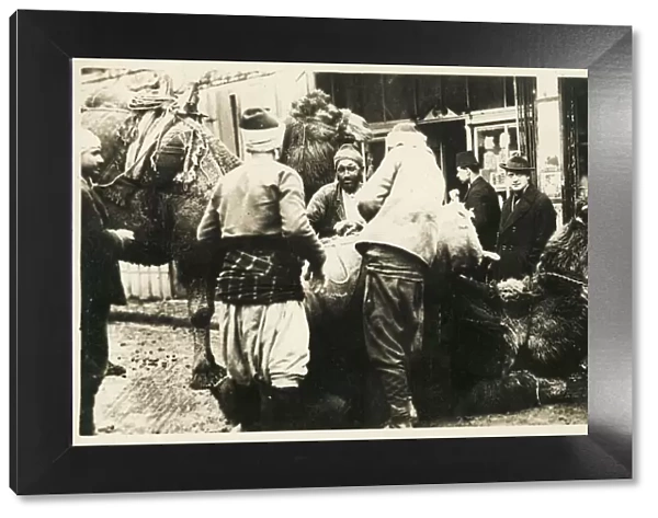 Chanakkale (Chanak, formerly Dardanellia ) on the Turkish Dardanelles coast (Gallipoli Peninsula) - Loading a Camel Train. Date: 1923