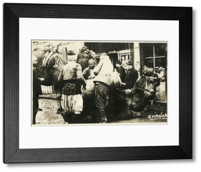 Framed Print : Chanakkale (Chanak, formerly Dardanellia ) on the Turkish Dardanelles coast (Gallipoli Peninsula) - Loading a Camel Train. Date: 1923