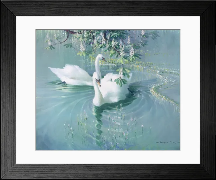 Framed Print : 11004977 Framed Print : 11004977