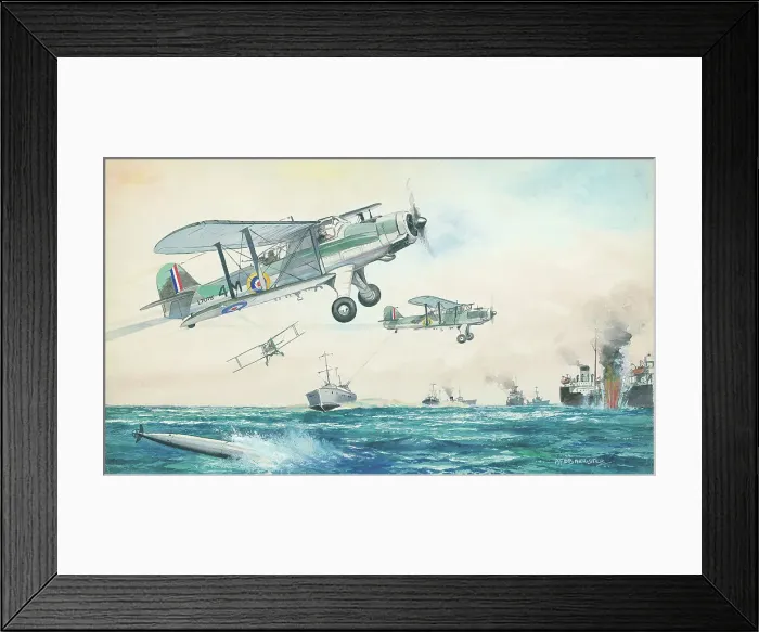Framed Print : Fairey Albacores, WWII aircraft Framed Print : Fairey Albacores, WWII aircraft
