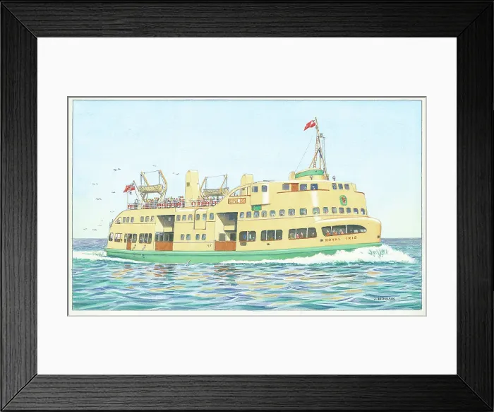 Framed Print : T. S. M. V. Royal Iris Framed Print : T. S. M. V. Royal Iris