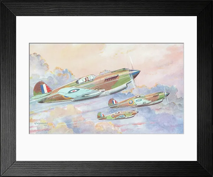 Framed Print : Curtiss Tomahawk Framed Print : Curtiss Tomahawk
