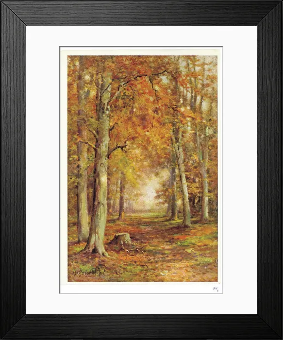 Framed Print : Autumn Woodland Framed Print : Autumn Woodland