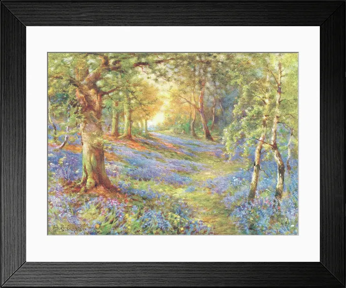 Framed Print : Bluebell Wood Framed Print : Bluebell Wood