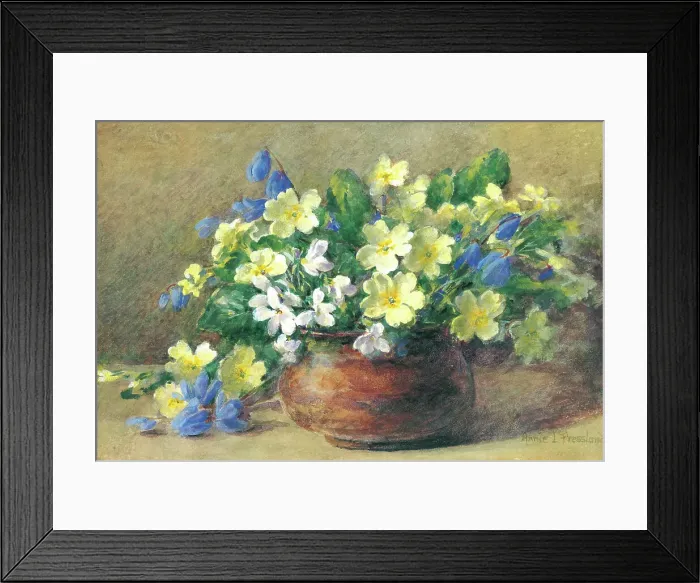Framed Print : Primroses, Violets & Scillas Framed Print : Primroses, Violets & Scillas