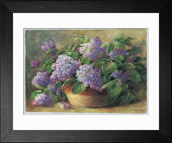Framed Print : Lilacs by Annie L. Pressland Framed Print : Lilacs by Annie L. Pressland