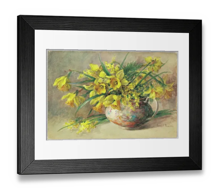 Framed Print : Daffodils and Mimosa Framed Print : Daffodils and Mimosa