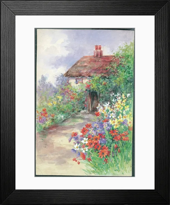 Framed Print : Anemones and Cottage Door Framed Print : Anemones and Cottage Door