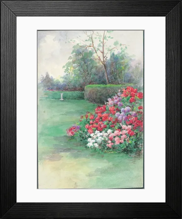 Framed Print : Rhododendhron hedge Framed Print : Rhododendhron hedge