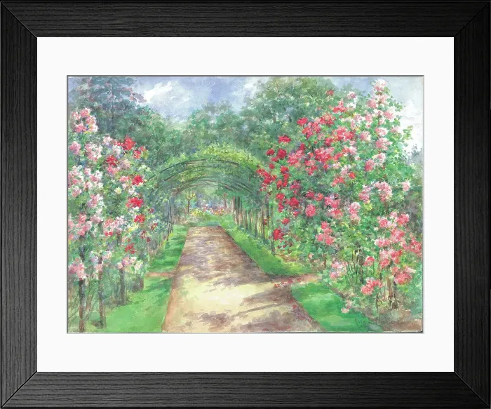 Framed Print : Pillar Roses with Pear Penfold, Garden with path and flowers