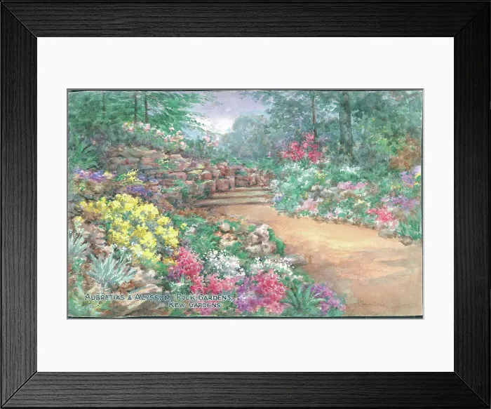 Framed Print : Text: Aubretias & Alyssum, Rock Gardens, Kew Gardens Framed Print : Text: Aubretias & Alyssum, Rock Gardens, Kew Gardens