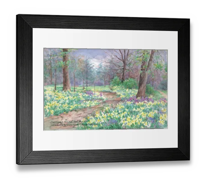 Framed Print : Daffodils round the The Mound (Honesty and Lungwort) - Kew Framed Print : Daffodils round the The Mound (Honesty and Lungwort) - Kew