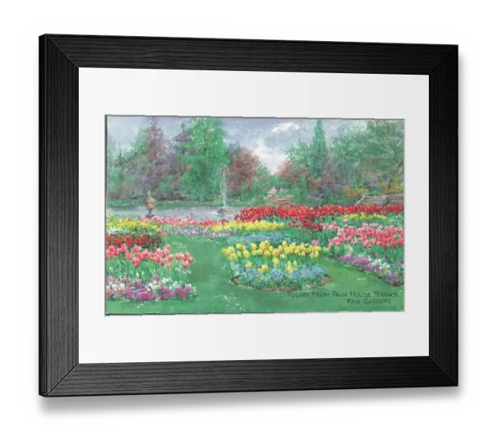 Framed Print : Text: Tulips from Palm House Terrace, Kew Gardens Framed Print : Text: Tulips from Palm House Terrace, Kew Gardens