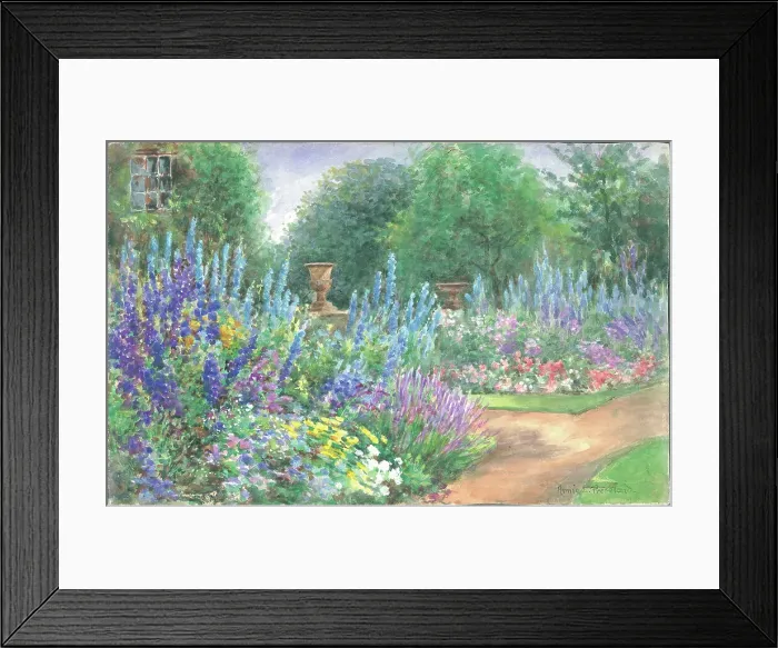 Framed Print : Delphinians in Cambridge Cottage Garden, Kew Gardens Framed Print : Delphinians in Cambridge Cottage Garden, Kew Gardens