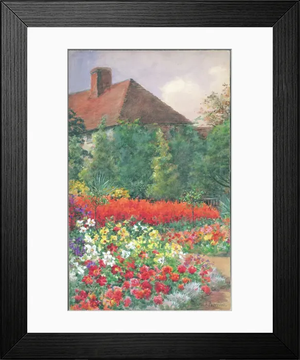 Framed Print : Salvias, dahlias, Old Mill Gardens, Wannock Framed Print : Salvias, dahlias, Old Mill Gardens, Wannock
