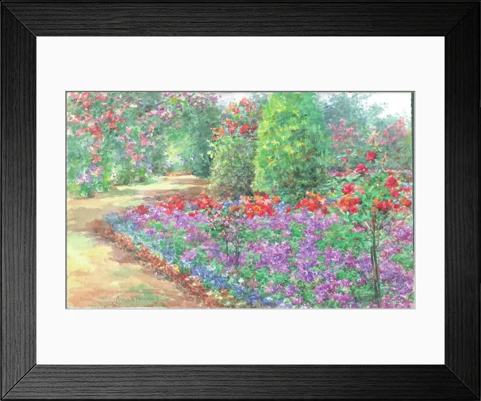Framed Print : Verbenas in bloom'. Garden with path and flower borders Framed Print : Verbenas in bloom'. Garden with path and flower borders