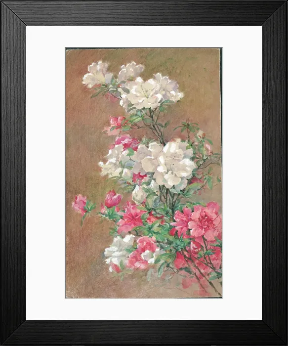 Framed Print : Hyateas'. Flowers Framed Print : Hyateas'. Flowers