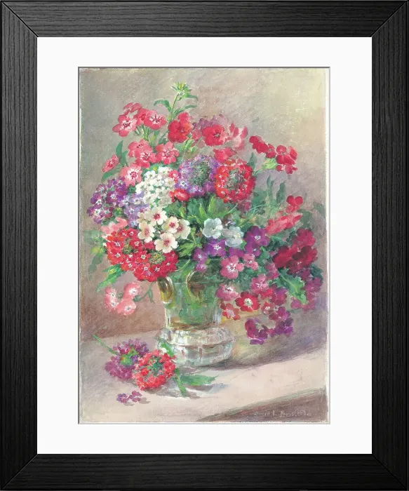 Framed Print : Phlox drummondu and Verbena Flowers in vase Flower Framed Print : Phlox drummondu and Verbena Flowers in vase Flower