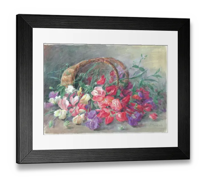 Framed Print : Sweet peas'. Flowers Framed Print : Sweet peas'. Flowers