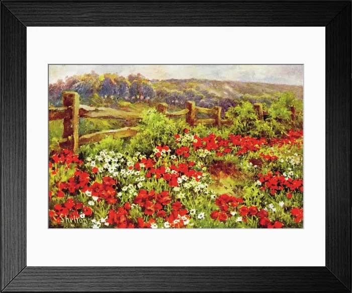 Framed Print : A Chiltern Poppyfield