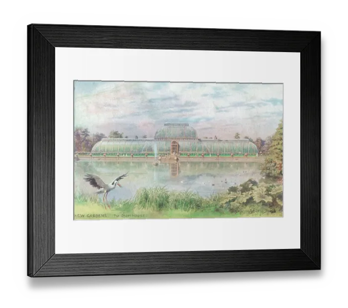 Framed Print : Kew Gardens, The Palm House, London Framed Print : Kew Gardens, The Palm House, London