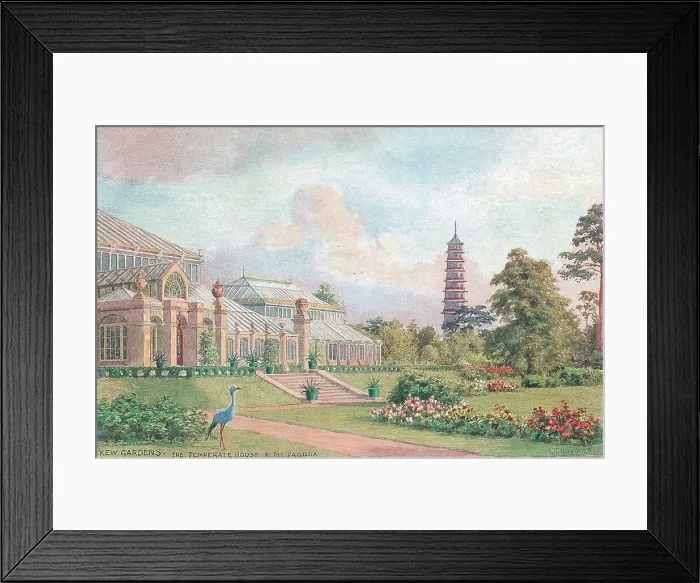 Framed Print : Kew Gardens, The Temperate House and the Pagoda, London Framed Print : Kew Gardens, The Temperate House and the Pagoda, London
