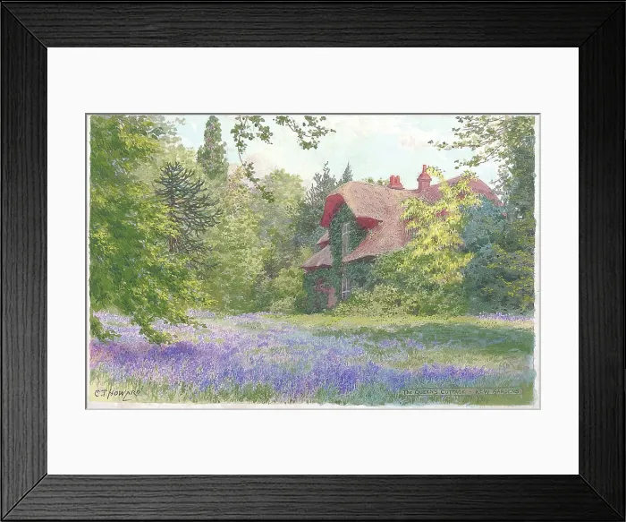 Framed Print : Bluebell time at Kew Framed Print : Bluebell time at Kew