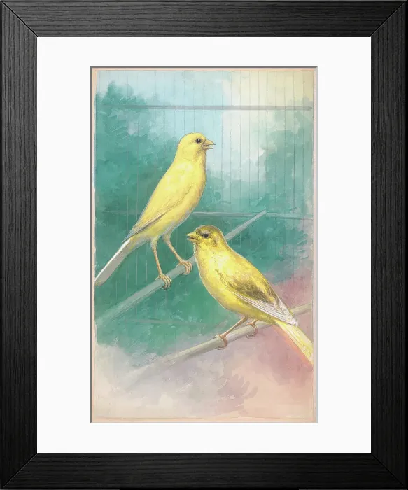 Framed Print : Canaries by Charles Howard Framed Print : Canaries by Charles Howard