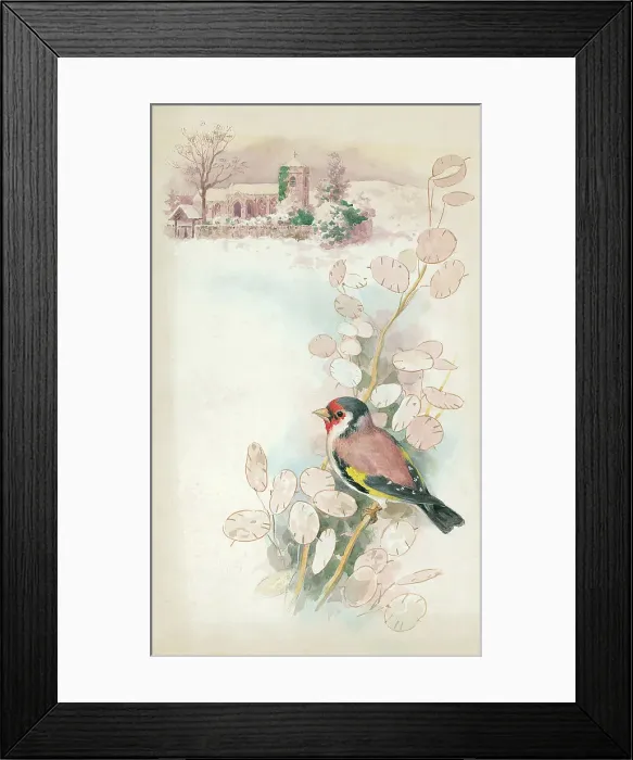 Framed Print : Goldfinch and church Framed Print : Goldfinch and church